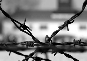 ������ ���� ���� ������ ������ - ��� ���� ����?