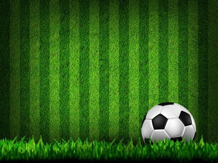 הרשעת אוהד בהתבטאות גזענית לשחקן במהלך אימון